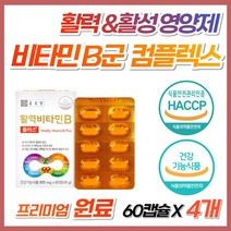 고함량 수용성 비타민 B군 B1 b2 b6 b12 비군 종근당 활력 플러스 컴플렉스 클로렐라 블루베리 분말 고함양 활성 고농축 종합 복합체 영양제 식약처 인증 bitamin B, 4개, 60캡슐 (2개월분)
