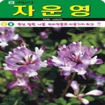AR 자운영 중포장 씨앗 10000립, 상세페이지 참조