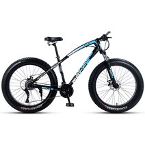 자전거 팻바이크 광폭 바퀴 큰 27 30인치 입문용 MTB, 27단 골드 스포크 휠 24인치