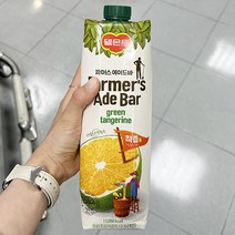 파머스 에이드 청귤 1L x 2개_아이스박스, 아이스박스포장