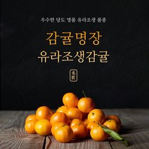[감귤명장] 장인정신으로 준비한 신선하고 맛있는 서귀포 유라조생! 무료배송! 5키로/10키로, 1박스, 로얄 5kg (박스무게포함)