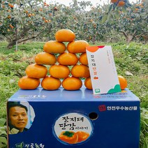 청감농원 지리산 고품질 단감 5kg 10kg 농장직송 선물용 가정용흠과, 35개(프리미엄)