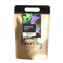 나팔꽃 미니화분 봉투 꽃 화분 홈가드닝 공기정화, 상세페이지 참조