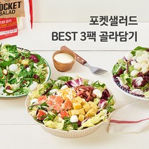 포켓샐러드 BEST 3팩 밀키트 채소 야채 샐러드 배달 도시락, 20.불고기1+숯불갈비1+훈제오리1, 3개