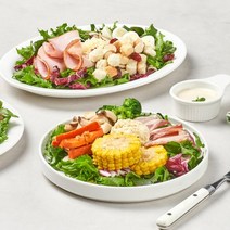 디자인밀 300샐러드Meal(주5일/총10일), 단품