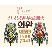 키우기쉬운꽃 무료배송 TOP 가격비교