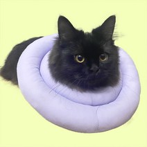 포블럭스 정품 반려동물 페브릭 넥카라 고양이 강아지, 연보라