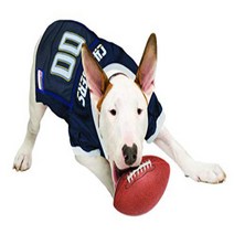 NFL LOS ANGELES CHARGERS DOG Jersey Medium, 1