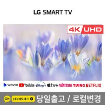 LG 75인치 4K 스마트 UHD TV 75UP7070 빠른설치, 2. 수도권지역 벽걸이 설치 요청