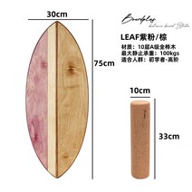 밸런스 보드 코어 근육 허벅지 강화 균형 운동 AH-813, 피쉬피콕블루/오렌지