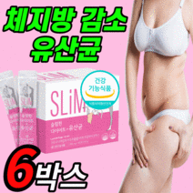 슬림 다이어트 유산균 아연 체지방 장 건강 프로바이오틱스 락토 바실러스 루테리 모유 유래 포스트 프리 바이오 틱스 스틱 프락토올리고당 보조제 가르시니아 hca 식약청 인증 +사은품, 2500mgX 60포