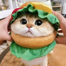 강아지햄버거모자 애완동물 가발 고양이 덮개 헤드 장식, S 사이즈 브레드 칼라 (3-6파운드)