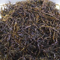 바다의 싱싱함을 그대로 진도완도 자연산 톳나물 톳, 1팩, 500g