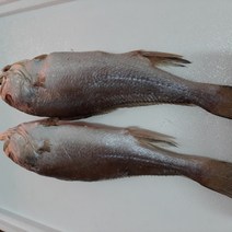 동울산수산 손질과 염장 반건조 침조기 28cm제수용및밥반찬 황민어 긴가이석태, 3마리
