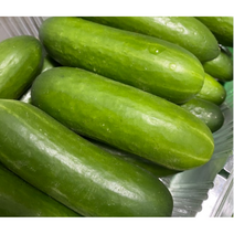 국내산 아삭한 미니오이 스낵오이 1kg 2kg 3kg, 1개