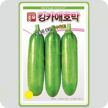 킹카 마디 애호박 씨앗 30립 호박씨앗