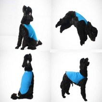 강아지 쿨조끼 반려견쿨조끼 소형 대형견쿨조끼 3size, 블루