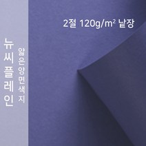뉴씨플레인 종이문화 얇은 양면색지 120g 2절 낱장 1매 No.31 보라색, 1장
