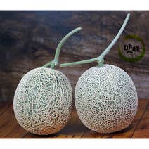 맛가득 빛센서선별 고당도 메론 칸탈로프멜론 파파야메론 머스크메론, 머스크멜론 (센서선별) 1.7Kg-1.8Kg