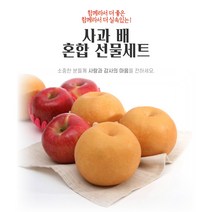 실속 배 사과 혼합 선물세트 4kg (사과 5입 + 배 5입), 1box