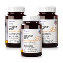1+1+1 바디스콥 눈건강 루테인 20mg 함유 (9개월분)