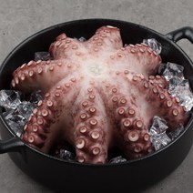 [제사용 한마리] 제수용 자숙문어 한마리 1kg 1.5kg 2kg 3kg 냉동 자숙문어 문어숙회 데친문어 삶은문어 모리타니아 돌문어, A_2. 자숙문어 한마리 1.5kg