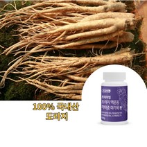도라지환 맥문동환 마가목환 프리미엄 100g, 1개