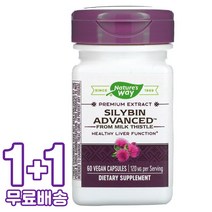네이처스웨이 Premium Extract Silybin 120mg 비건 60캡슐 2통, 1개, 기본