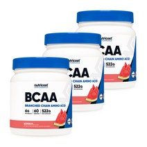 BCAA 파우더 60회분 수박맛 3병, 단품, 단품