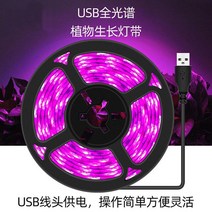식물공장 조명 홈가드닝 썬라이크 수유등 취침등 선물 Chenghong Full Spectrum Duculent Color -Colored Anti -Apprentice Lighting Light Sunlight Room 번식 꽃 USB 식물 성장 조명, USB 전체 스펙트럼 3m 램프 벨트