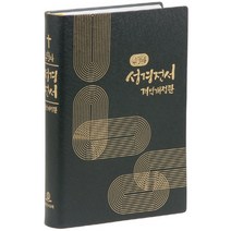 큰활자 성경전서(특대)(단본)(무색인)(무지퍼)(펄비닐)(개역개정판)(NKR82BU), 대한성서공회