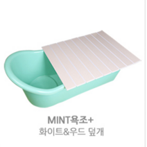 반신욕다이어트 핀란드사우나 간이욕조 이동식 가정용사우나 반신욕기 컬러플 반신욕조, 1개, 민트 욕조+덮개세트