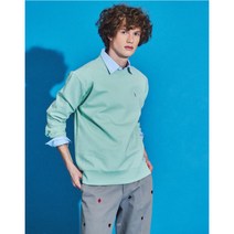 [헤지스 남성] [22SS] HZTS2A102L2 민트 퍼피자수 베이직 맨투맨