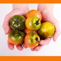 햇대저 토마토 대저 짭짤이 토마토 미니 홈쇼핑 짭잘이 달짝이 짭짜리 짭짜리 주스용 제철 농협 못난이 직거래 효능 짭짤, 대저 짭짤이토마토  로얄 5kg