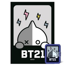 108피스 BT21 틴케이스 반 (DW742957)퍼즐 직소퍼즐 유아퍼즐 아동퍼즐 만화퍼즐 취미 키덜트 PUZZLE BTS 108피스 액자퍼즐 아이돌 rm 진 슈가 제이홉 지민 뷔 정국, 본상품