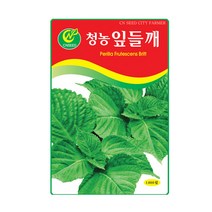 청농 잎들깨씨앗 1400립 깻잎종자, 1개