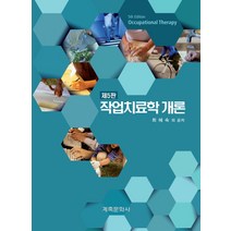 작업치료학개론, 계축문화사, 최혜숙