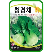 청경채 씨앗 채소 종자 2000립 쌈채소 백경채 중국배추 씨앗 Bok Choy seeds, 단품