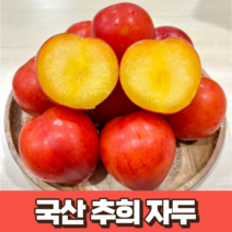 추희자두 1kg 2kg 국산 농장 산지 직송 제철 고당도 자두 가을자두 과즙 팡팡 영천 김천 청송 추이자두 자두의 여왕 프리미엄, 1개