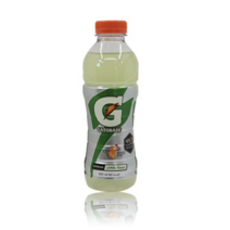 게토레이 레몬, 2개, 600ml