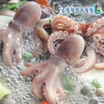 통영가리비 홍가리비외 해산물 골라담기, 1개, 활쭈꾸미1kg(빙장포장)