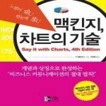 [개똥이네][중고-중] 맥킨지 차트의 기술