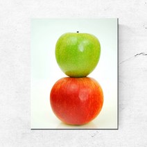 PL062_일러스트 홈데코 사과 과일사진 실사 캔버스액자, 무광일반_S_16cm x 23cm