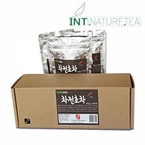 아이앤티 갓볶아 더욱구수한 차전초차 100티백, 단품