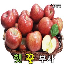 경북사과 햇 꿀 부사 사과10kg 5kg 3kg [산지직송] 산들정, 1box, 03. 사과 5kg (16~20과 내외) 가정용 흠과