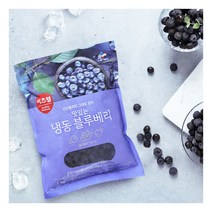 김치원 친환경 블루베리 생과 4kg 1kgx4 전북고창