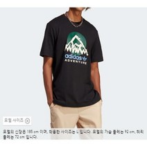 [아디다스] 어드벤쳐 마운틴 프론트 티 (IC2361)