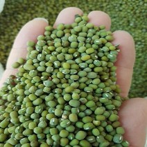 22년햇녹두/통녹두/국산녹두/햇녹두, 2kg