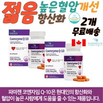 혈관 청소 질환 증상 혈관에 혈압에 좋은 혈액순환 항산화식품 혈압감소 혈압강하 만성피로 COQ10 혈관에좋은영양제 혈압에좋은영양제 항산화 항산화식품 혈압감소 혈압강하 만성피로 COQ10