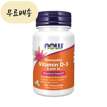 나우푸드 미국정품 비타민디 01. 비타민D 5000IU 120정, 1개